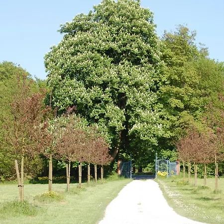 Manoir De La Plane *