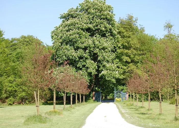 Manoir De La Plane *